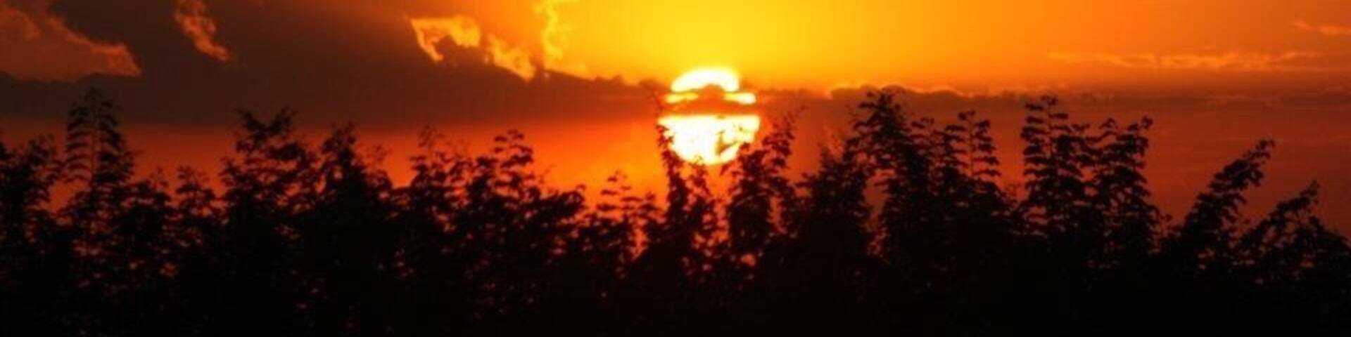 #goldenhour 🌅🇧🇷
#sunset