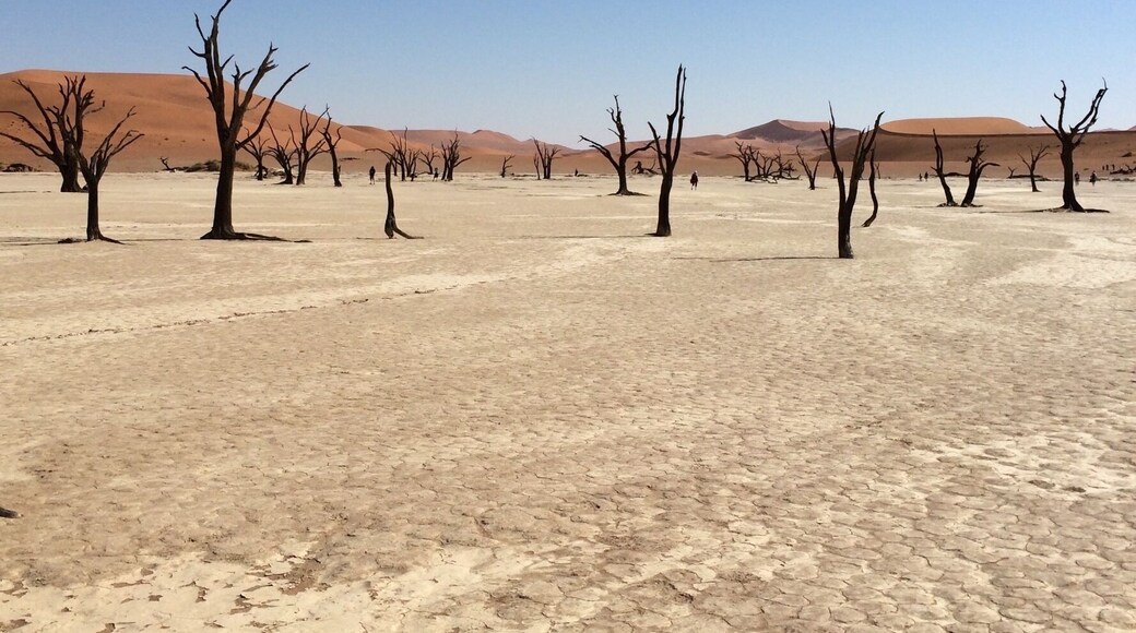 Stranger than fiction