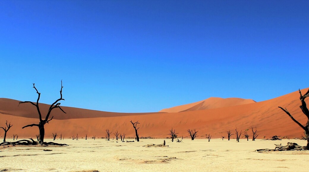 Stunning high red dunes in the southern part of the Namib Desert in Namibia. You are truly in the middle of nowhere, surrounded by 700 year old dead trees. Make sure you get up early in the morning to visit because it gets hot out there. We flew into the desert and it was stunning to see from an aerial view.
#LifeAtExpediaGroup