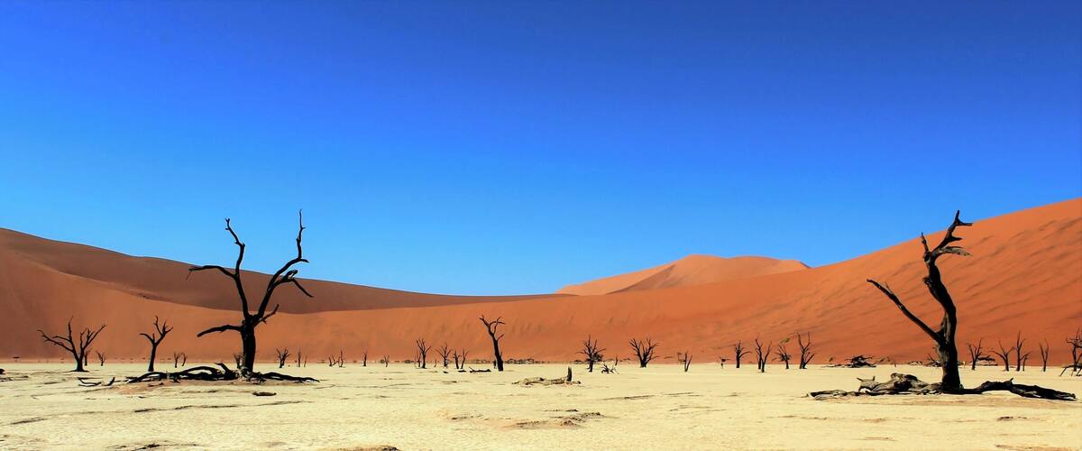 Stunning high red dunes in the southern part of the Namib Desert in Namibia. You are truly in the middle of nowhere, surrounded by 700 year old dead trees. Make sure you get up early in the morning to visit because it gets hot out there. We flew into the desert and it was stunning to see from an aerial view.
#LifeAtExpediaGroup