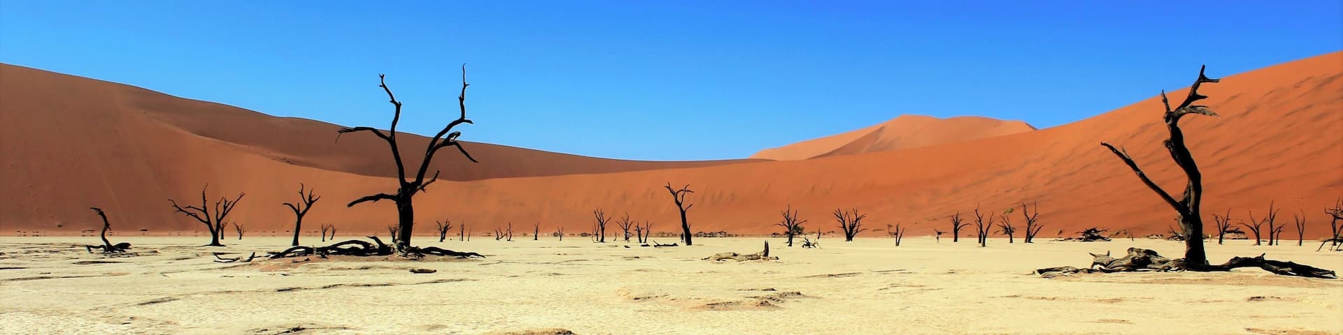 Stunning high red dunes in the southern part of the Namib Desert in Namibia. You are truly in the middle of nowhere, surrounded by 700 year old dead trees. Make sure you get up early in the morning to visit because it gets hot out there. We flew into the desert and it was stunning to see from an aerial view.
#LifeAtExpediaGroup