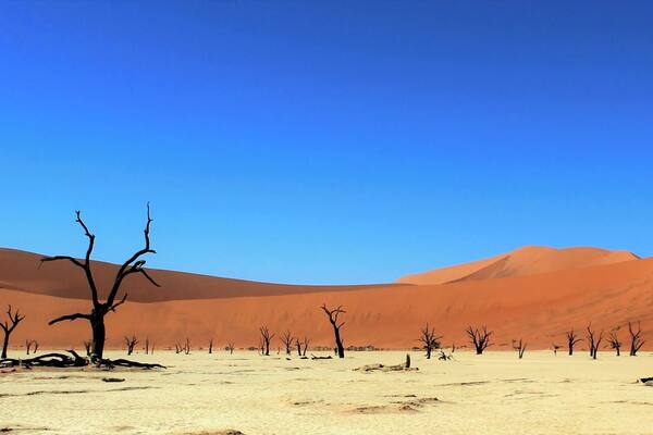 Stunning high red dunes in the southern part of the Namib Desert in Namibia. You are truly in the middle of nowhere, surrounded by 700 year old dead trees. Make sure you get up early in the morning to visit because it gets hot out there. We flew into the desert and it was stunning to see from an aerial view.
#LifeAtExpediaGroup