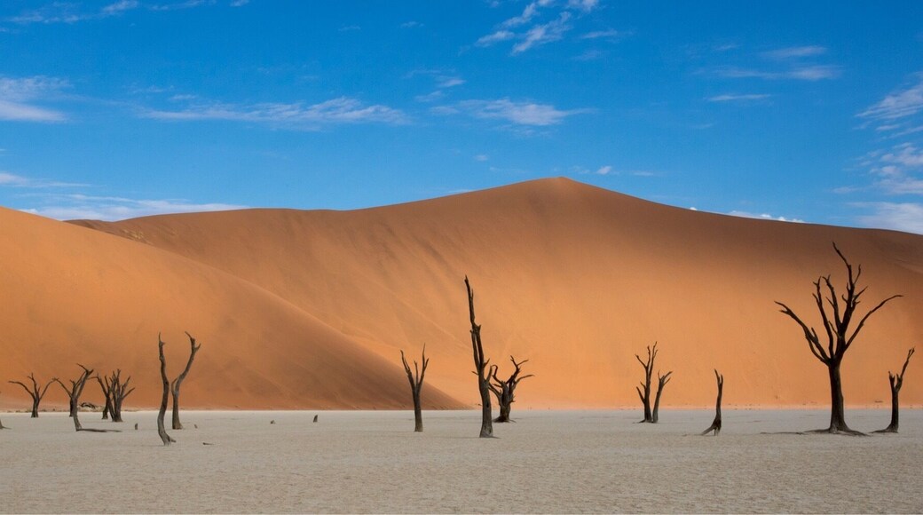 #deadvlei#sossusvlei#namibia#dunes.