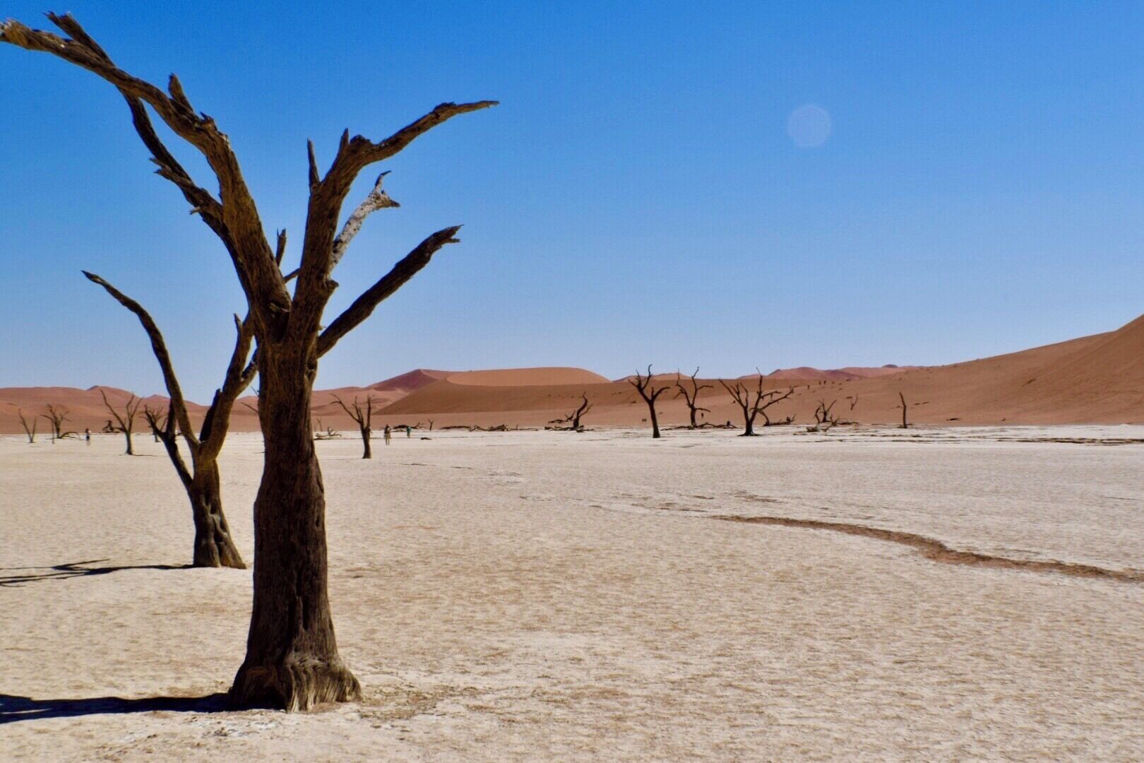 Deadvlei