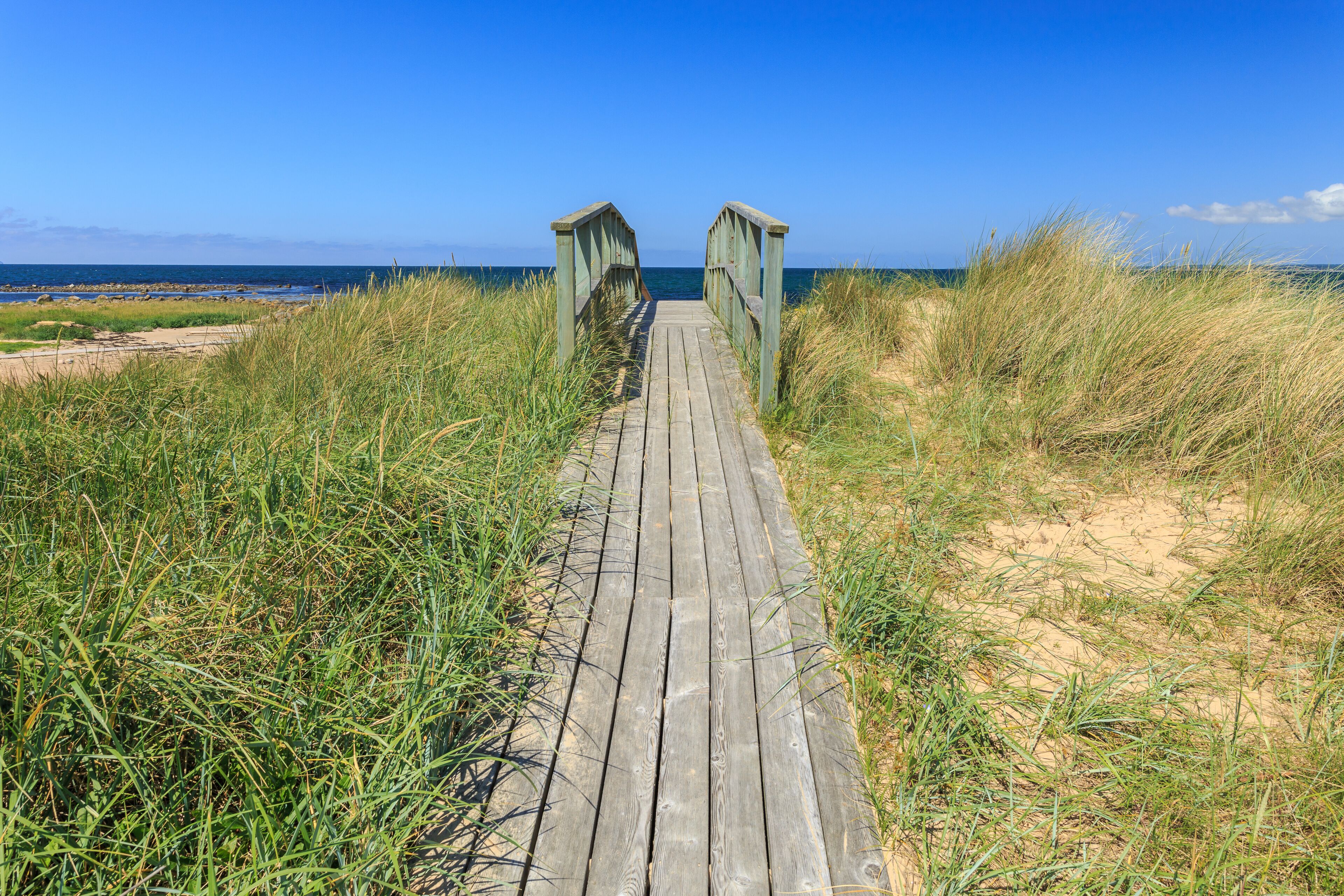 A wooden boardwalk leading to the beach, surrounded by tall grass and dunes.