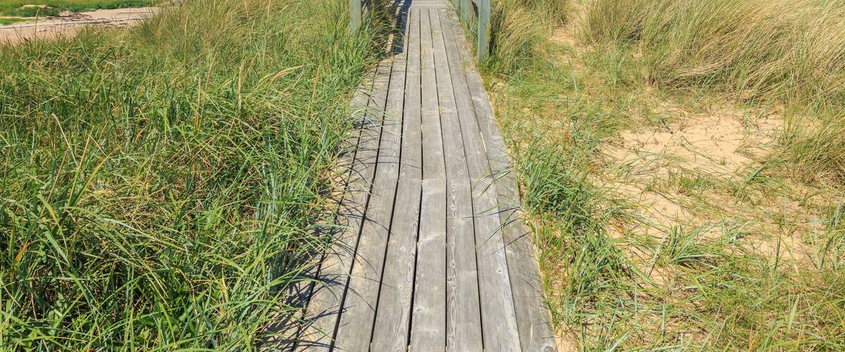 A wooden boardwalk leading to the beach, surrounded by tall grass and dunes.