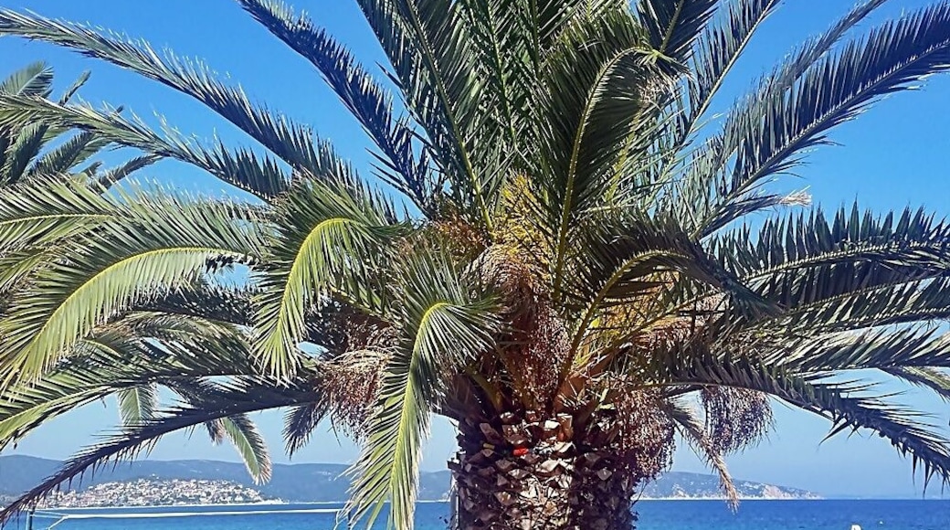 Spring in Halkidiki, Greece!