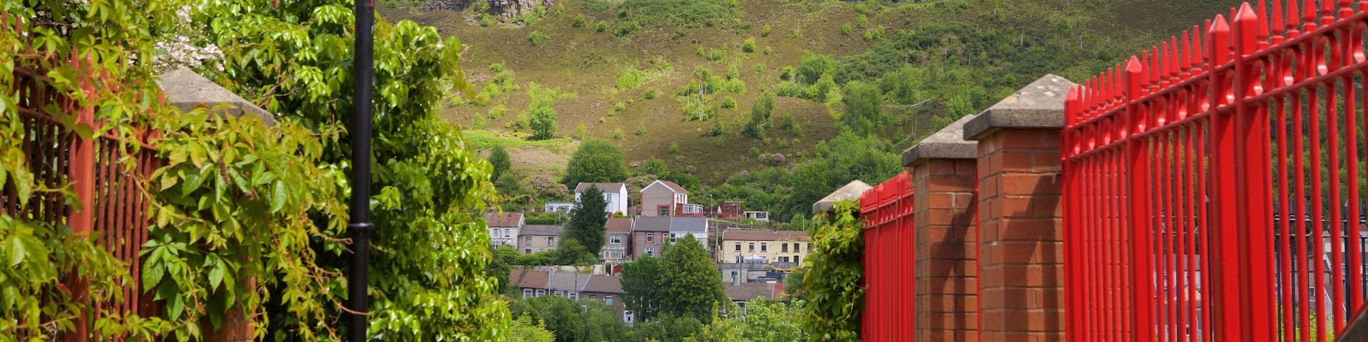 Rhondda Valley showing a ruin and tranquil scenes