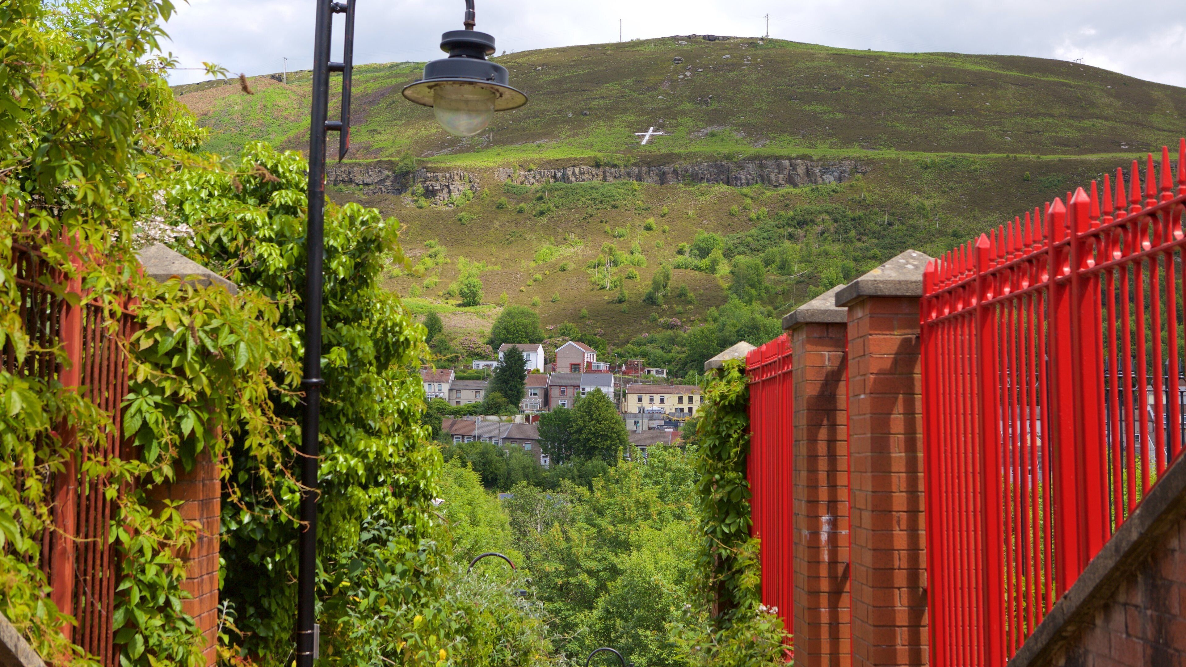 A hillside with houses, a red fence, and a street lamp.