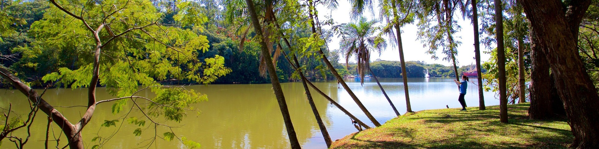 Lago Taquaral que incluye un parque y un río o arroyo