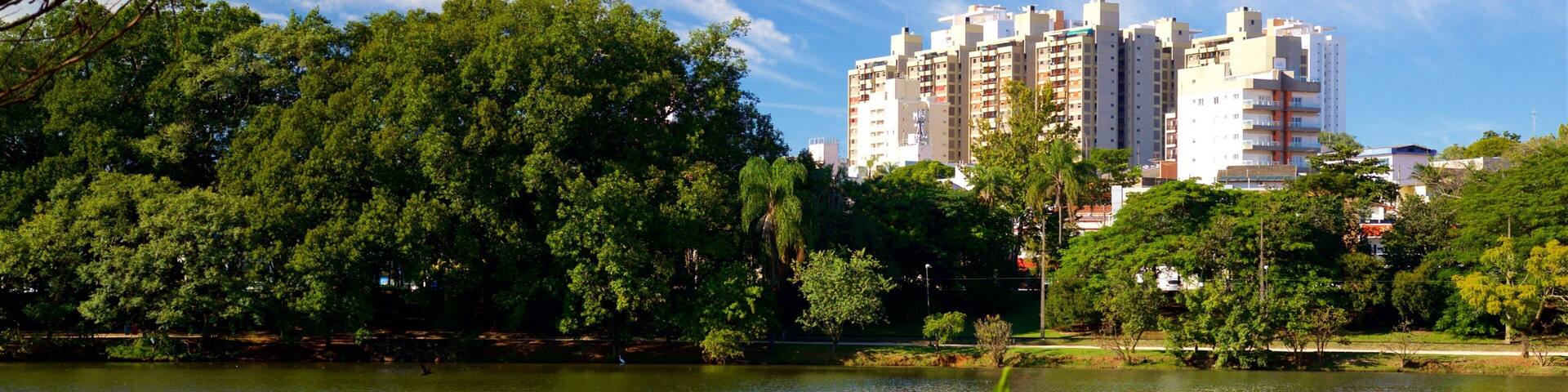 Taquaral Lake which includes a lake or waterhole and a city