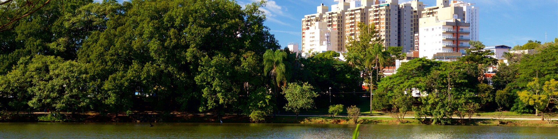 Taquaral Lake which includes a lake or waterhole and a city