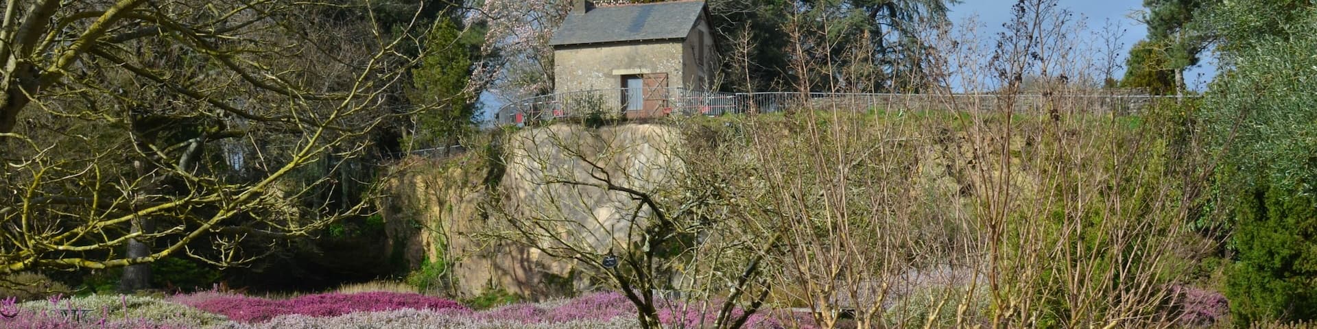 A stone house with a sloped roof, surrounded by purple heather and trees.