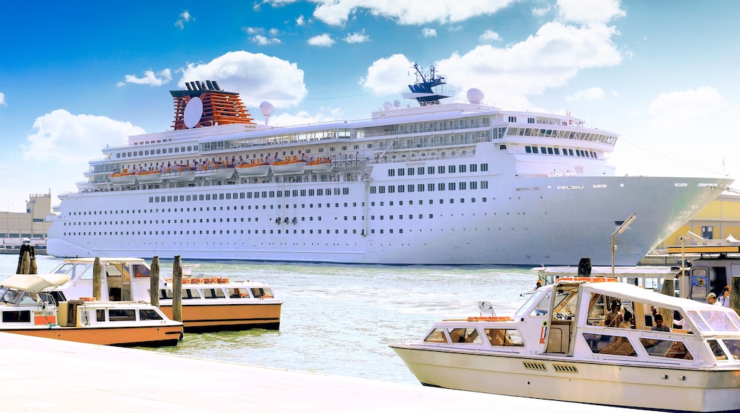 Marine moorage , sea port in Venice.