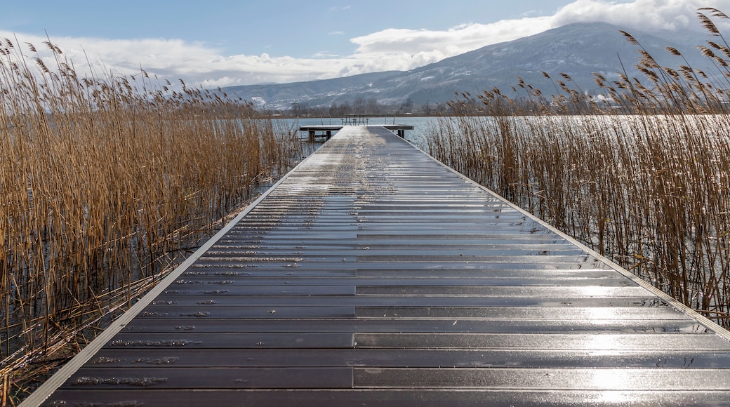 wooden walkway on sapanca lake in winter