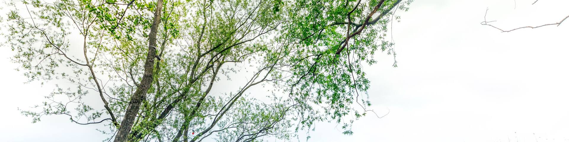 Long exposure ladscape of the Lake Sapanca (Turkish: Sapanca Golu), Adapazari, Sakarya, Turkey.
