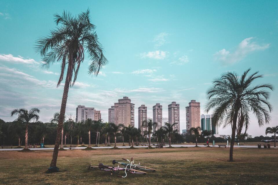 Um parque com palmeiras e bicicletas, e edifícios altos ao fundo.