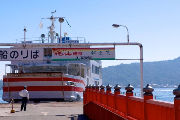 Miyajima Ferry Terminal showing general coastal views and boating as well as an individual male