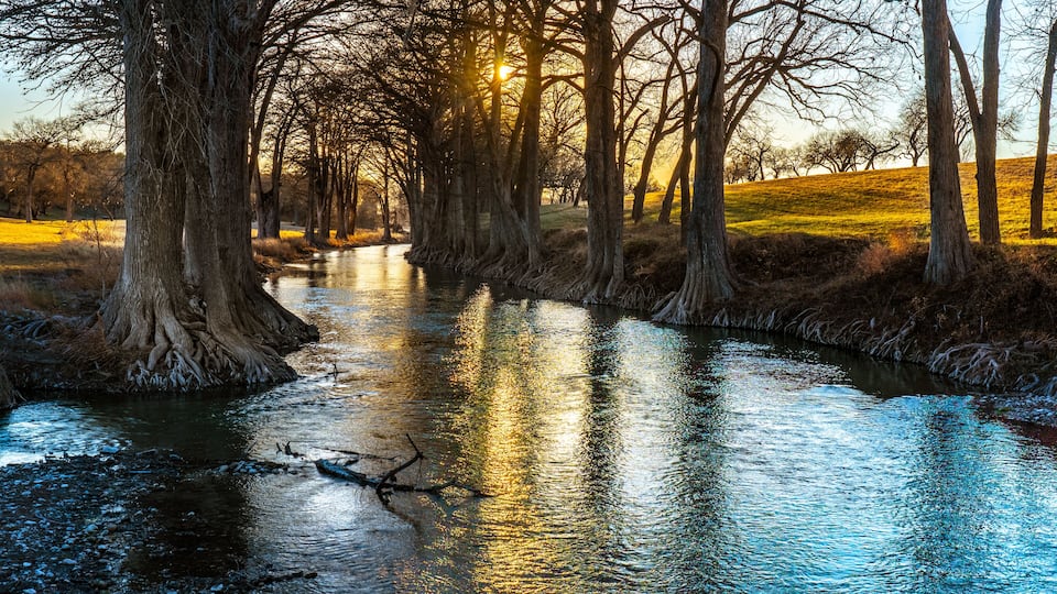 A river flanked by trees with sunlight reflecting on the water.