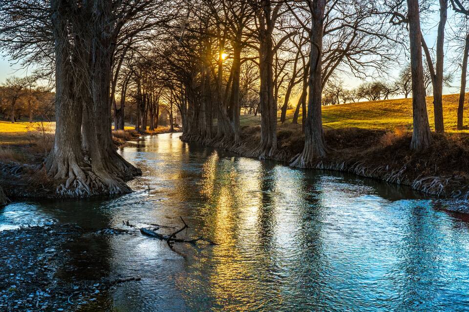 A river flanked by trees with sunlight reflecting on the water.