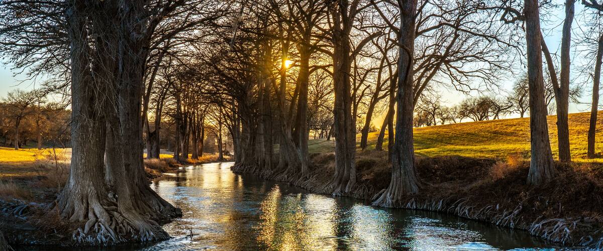 A river flanked by trees with sunlight reflecting on the water.