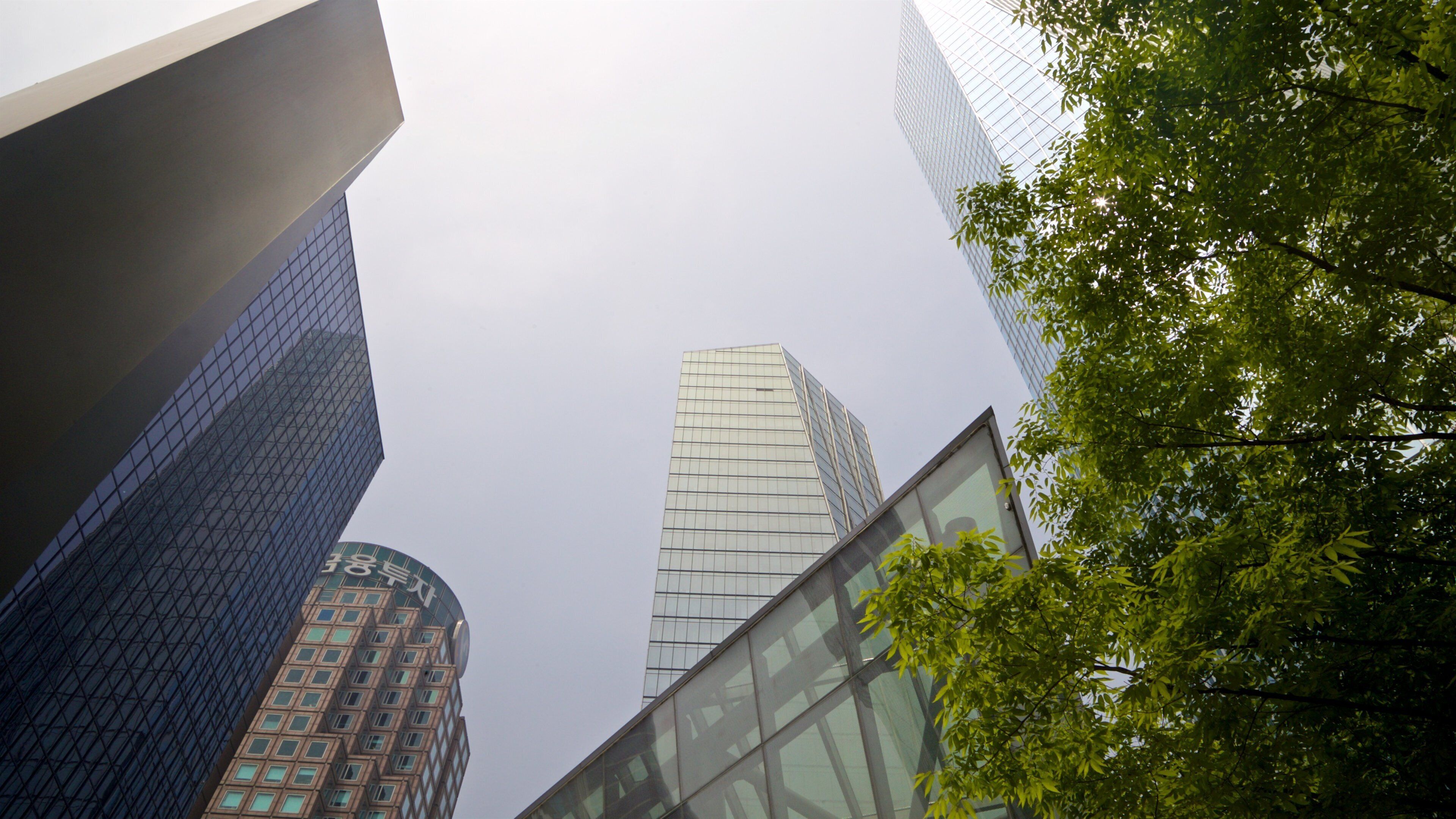 Yeouido which includes mist or fog, a city and a skyscraper