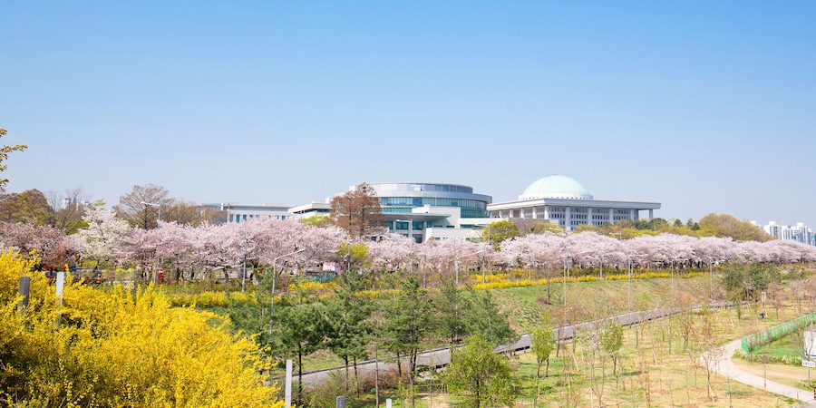 Seoul, South Korea: Cherry Blossom Festival in spring at Yeouido park.; Shutterstock ID 590968580; Purchase Order: -