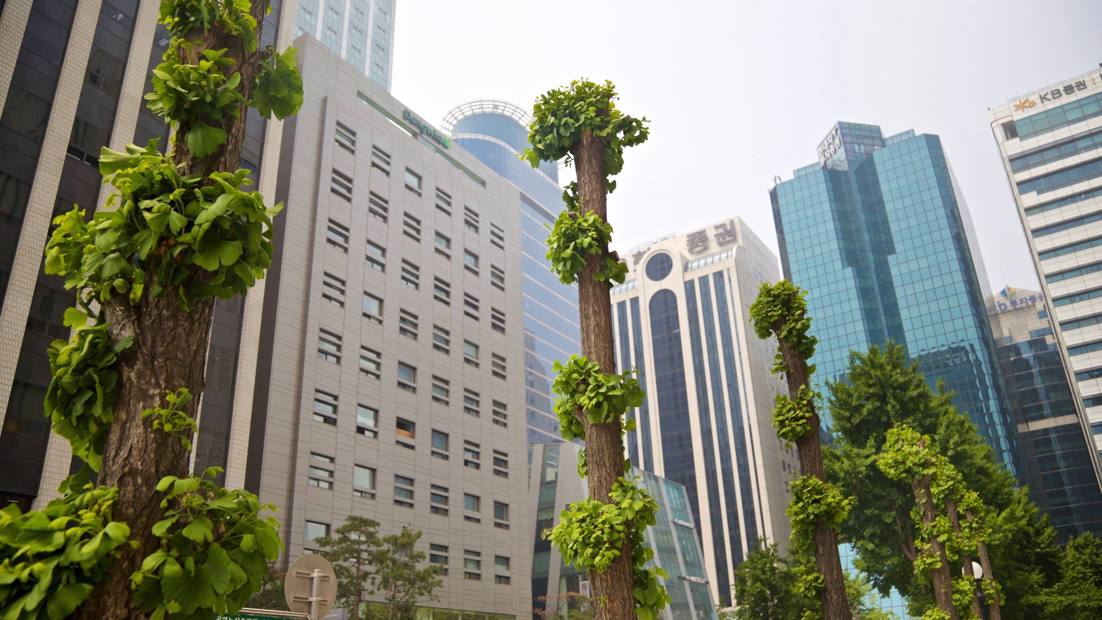 A cityscape with modern buildings, a tree with green foliage, and a clear sky.