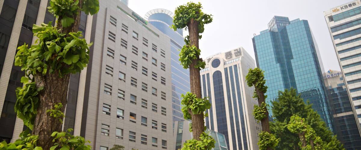 A cityscape with modern buildings, a tree with green foliage, and a clear sky.