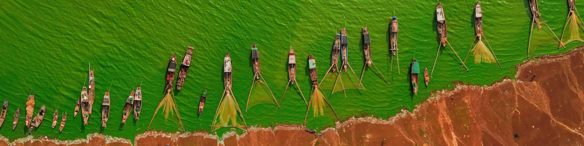 Aerial view of Ben Nom fishing village, a brilliant, fresh, green image of the green algae season on Tri An lake, with many traditional fishing boats anchored