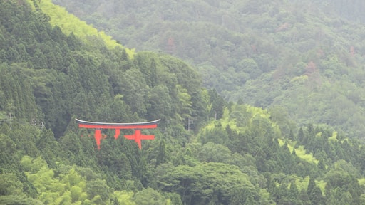 The town is surrounded by hills and has a placid, pleasant atmosphere.Tsuwano is also home to the Taikodani Inari Shrine, one of the five greatest Inari Shrines.