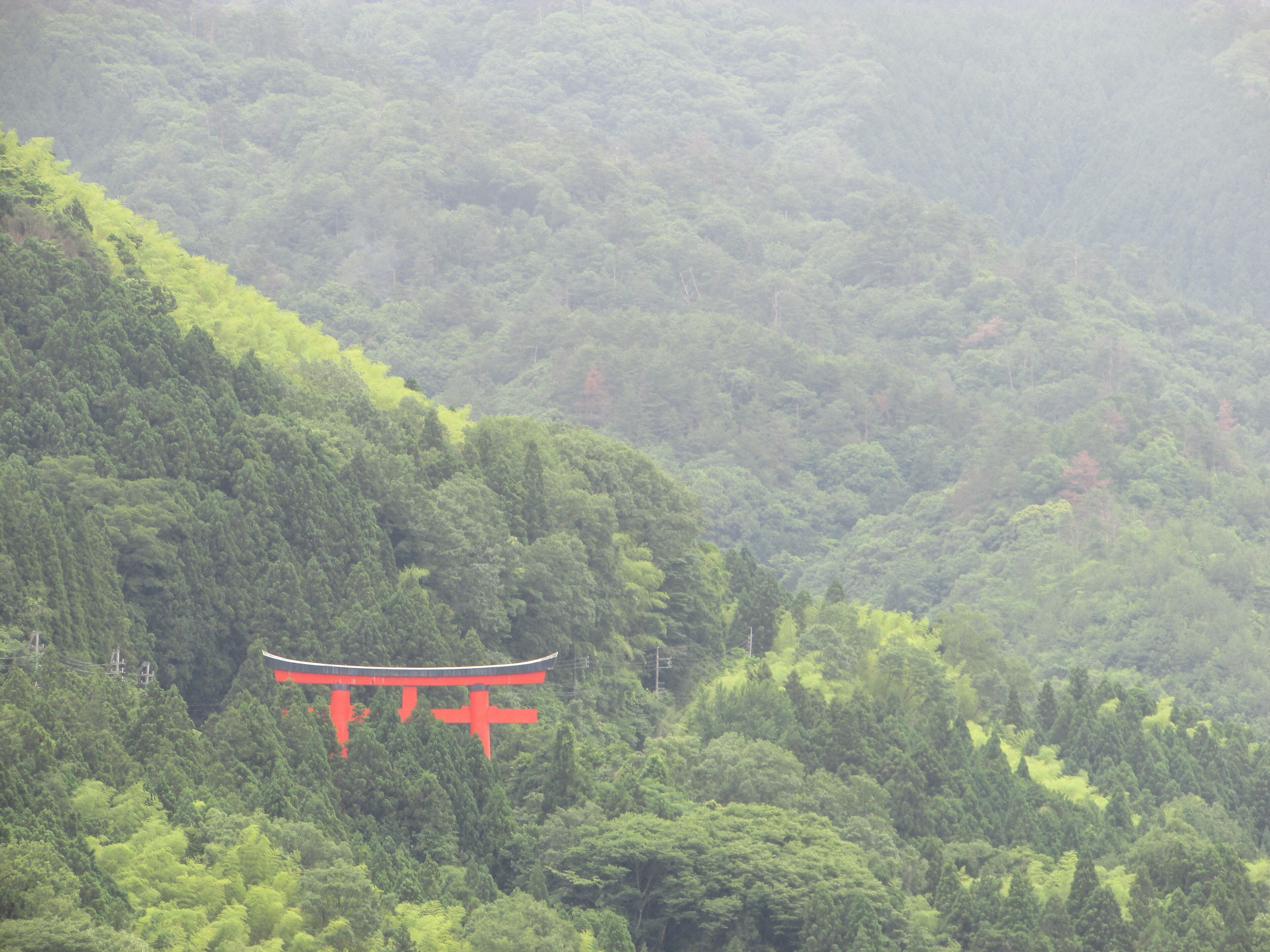 A forested mountain with a red torii gate.
