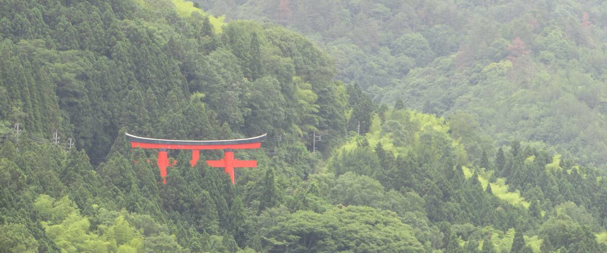A forested mountain with a red torii gate.