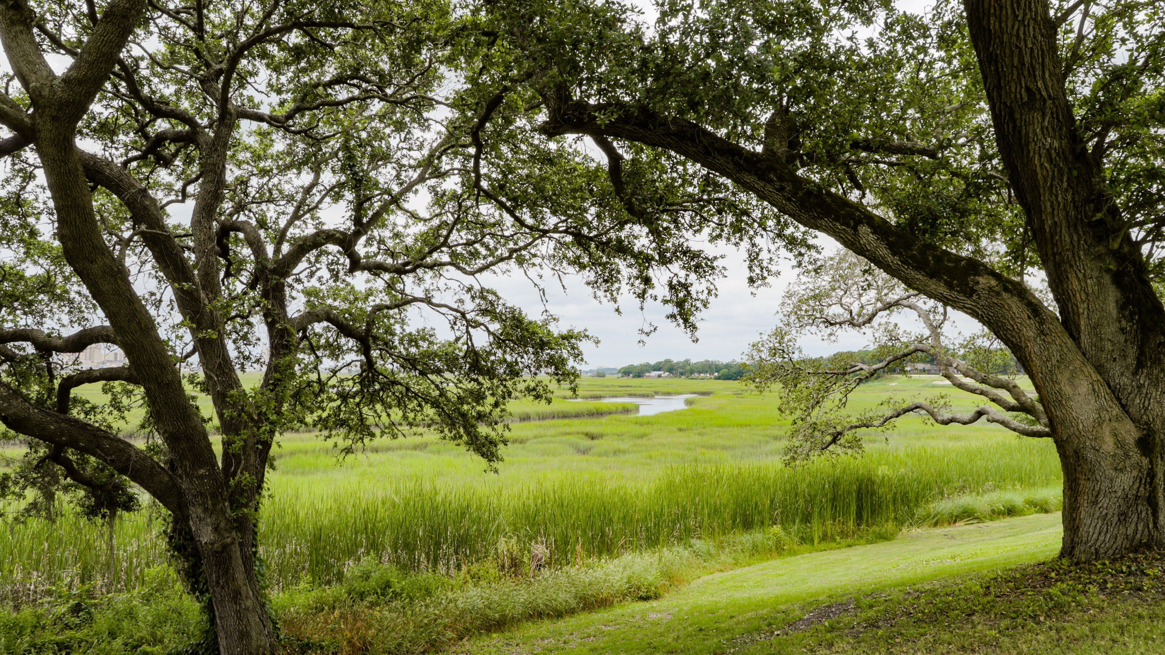 Tidewater Golf Club featuring wetlands