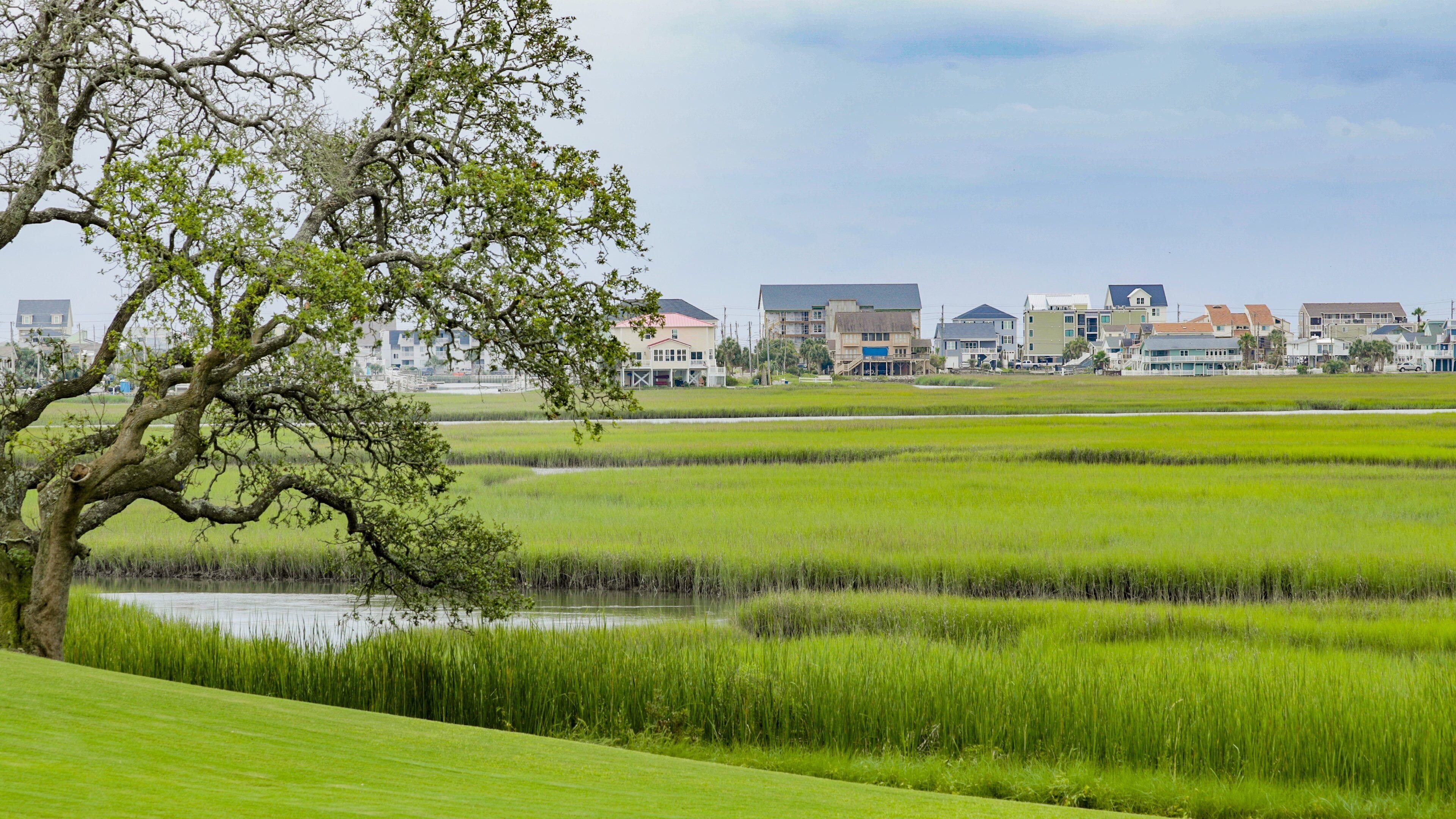 Tidewater Golf Club showing wetlands