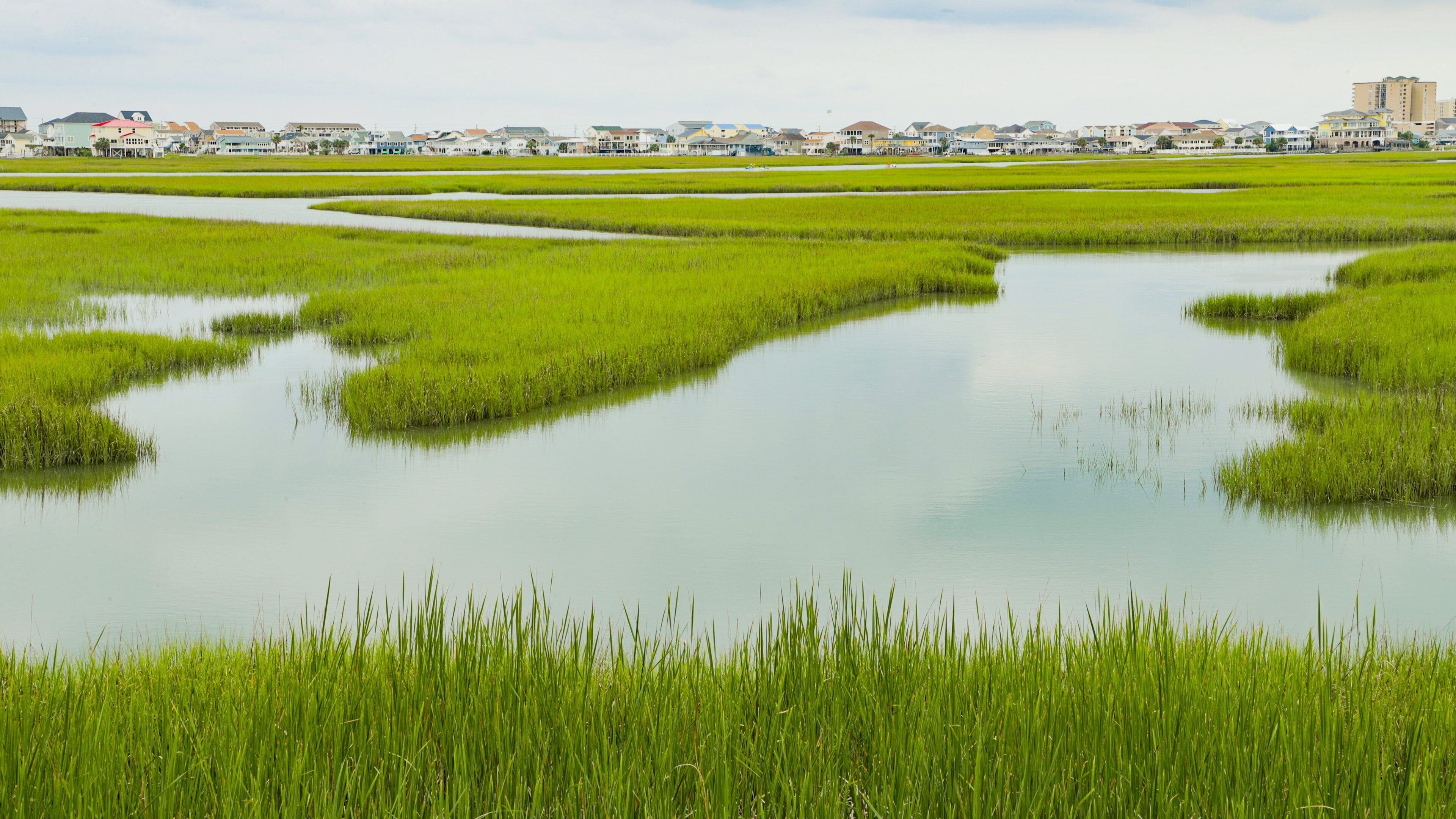 Tidewater Golf Club showing wetlands
