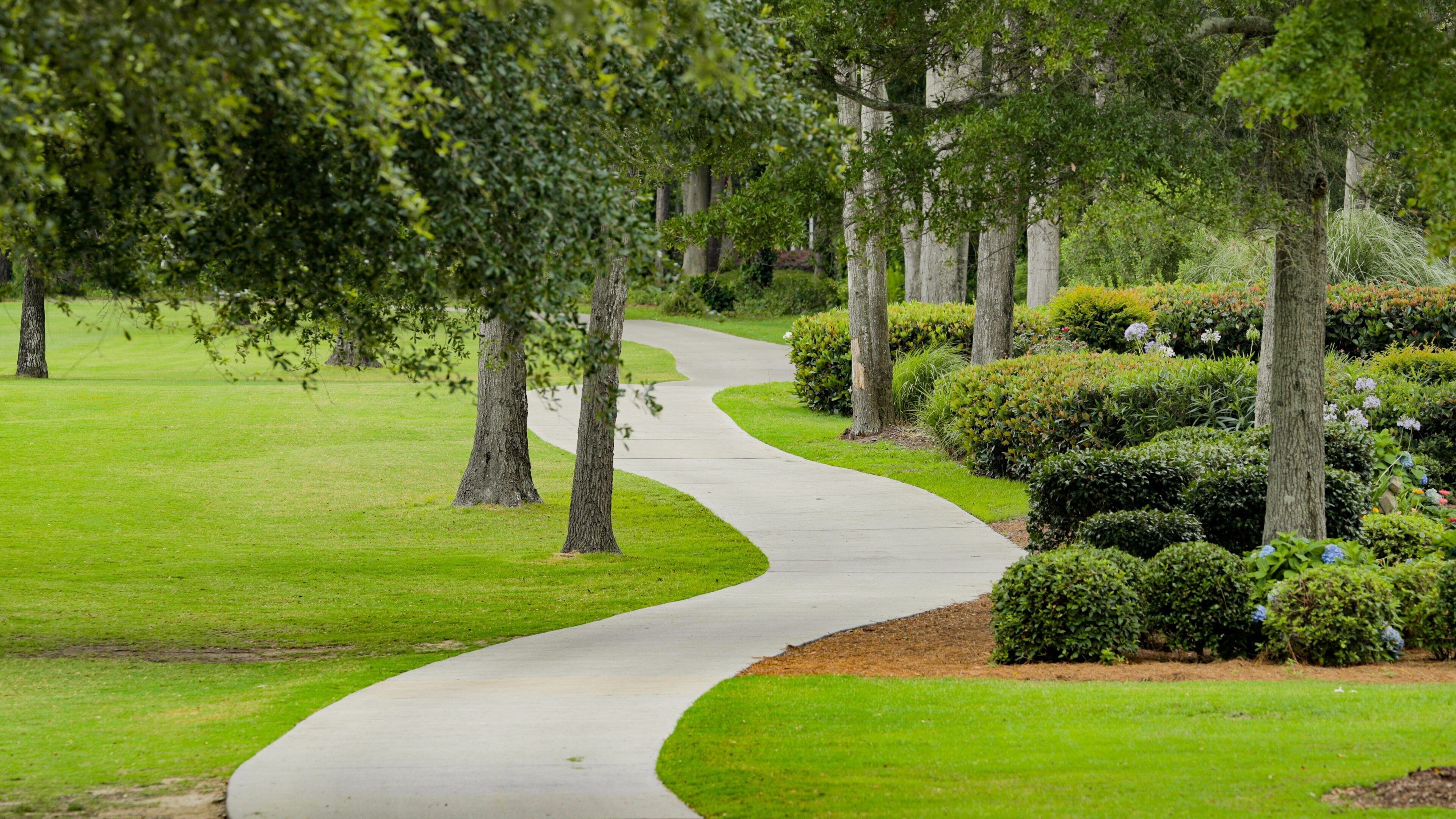 Tidewater Golf Club which includes golf