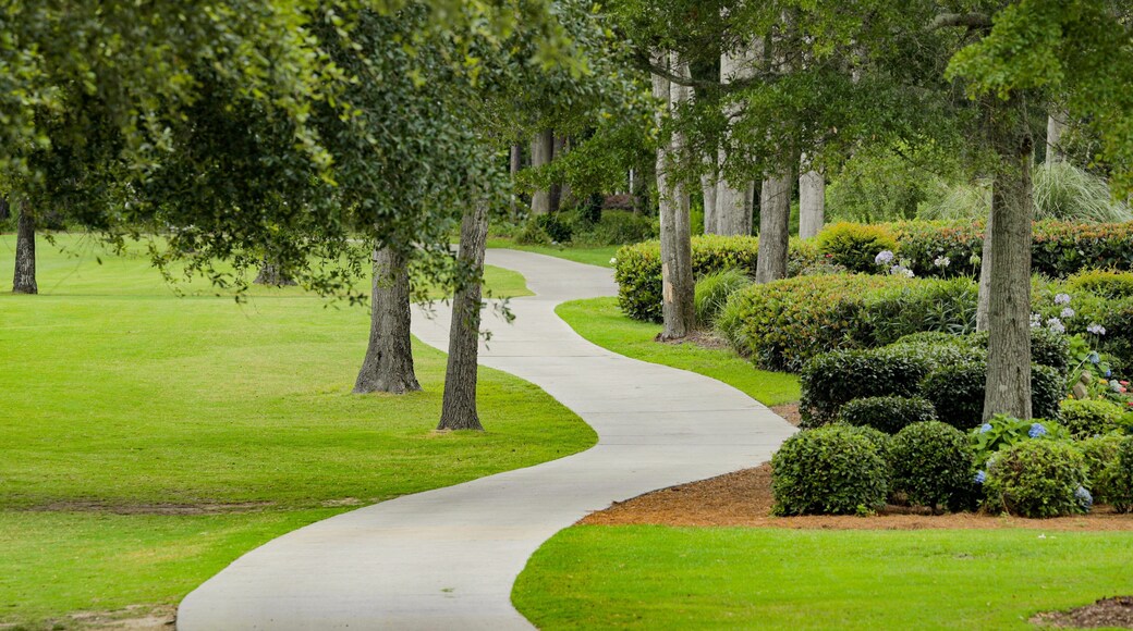 Tidewater Golf Club which includes golf