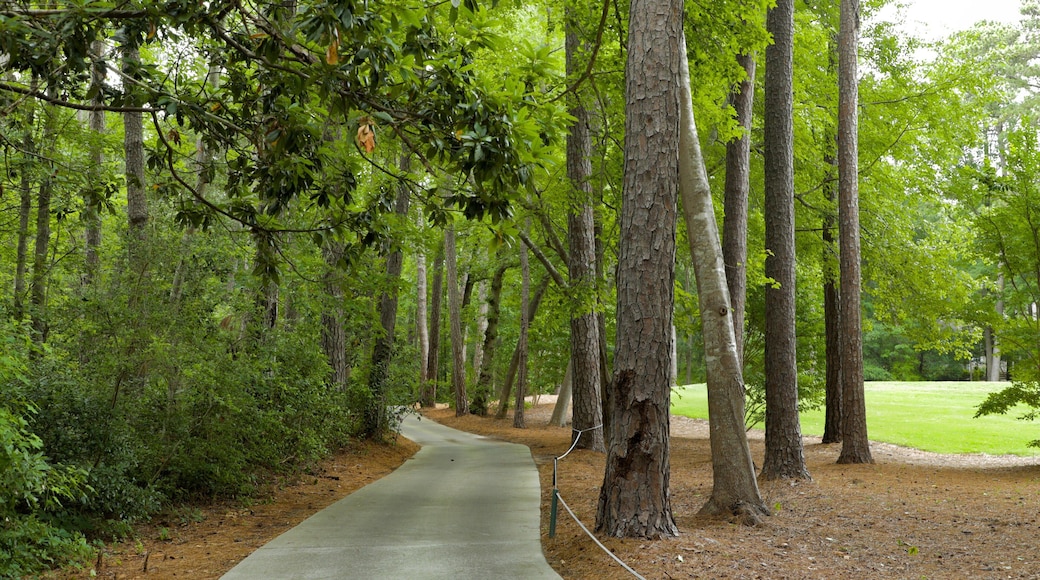Tidewater Golf Club which includes a park