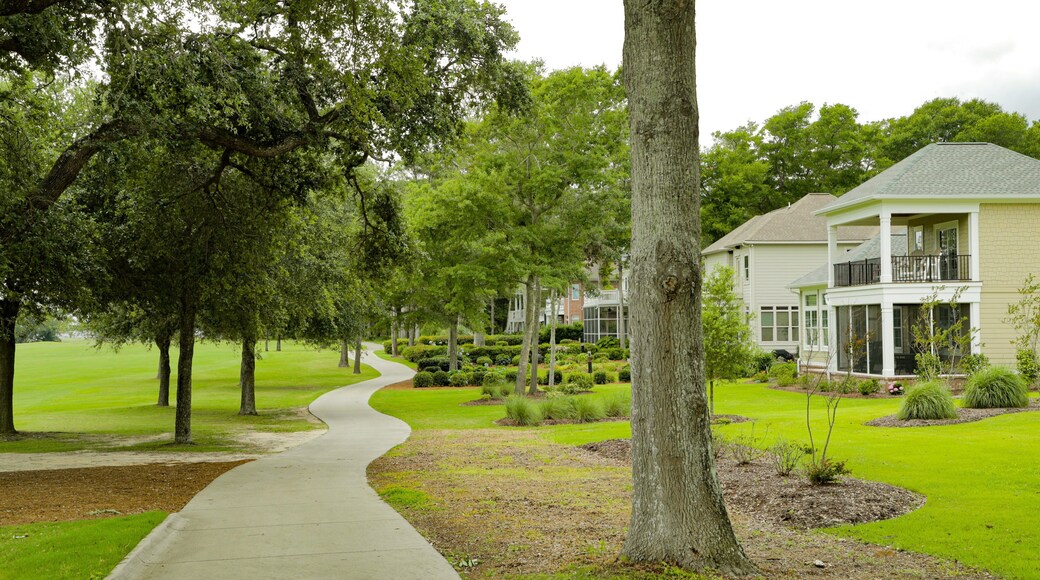 Tidewater Golf Club showing a park