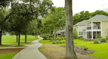 Tidewater Golf Club showing a park