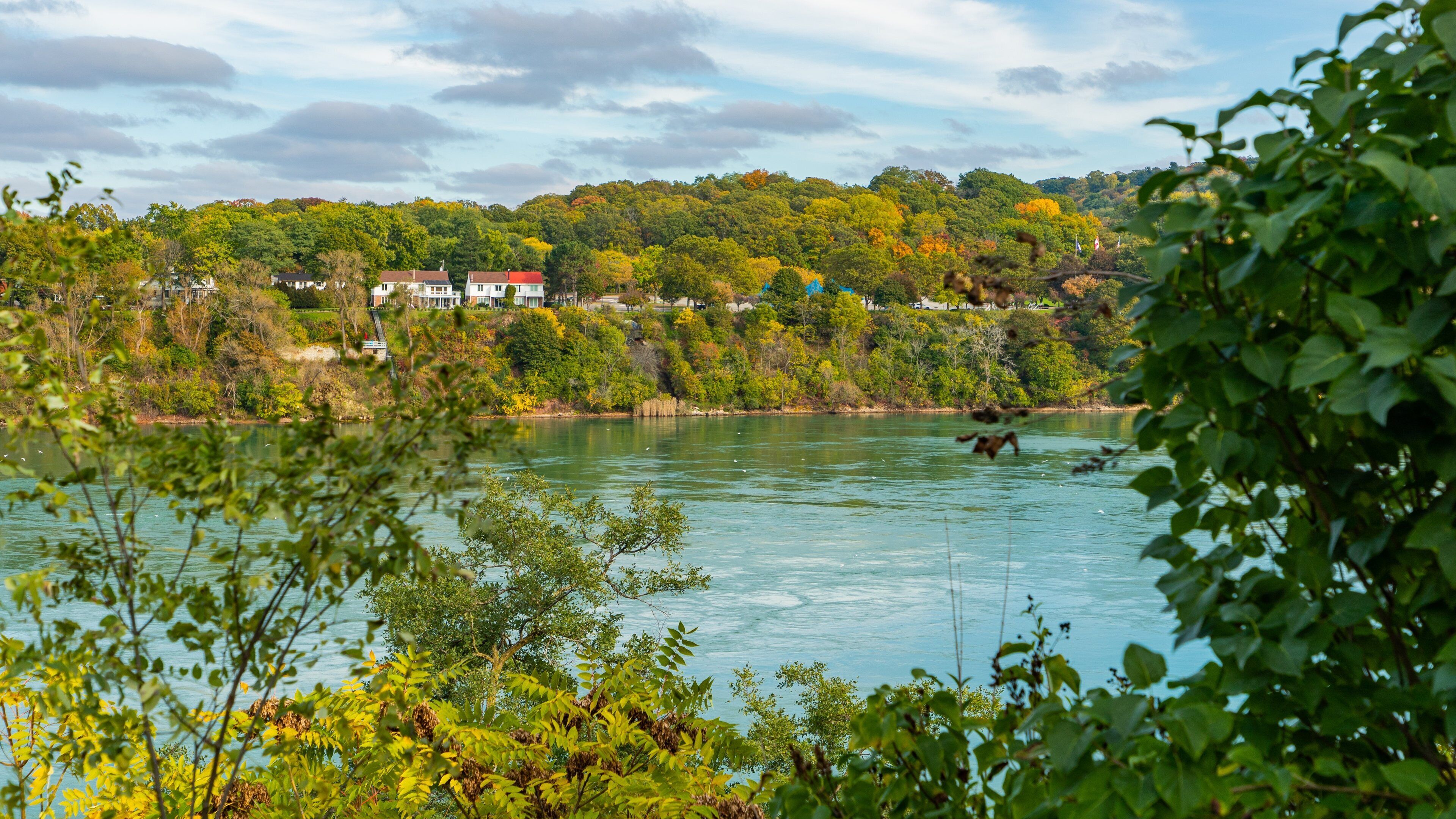 Queenston featuring a lake or waterhole