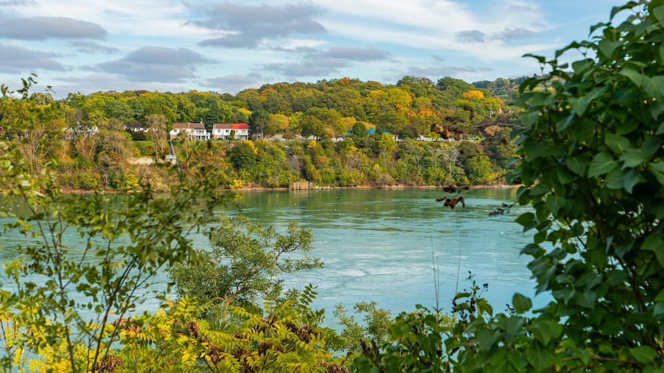 Queenston featuring a lake or waterhole