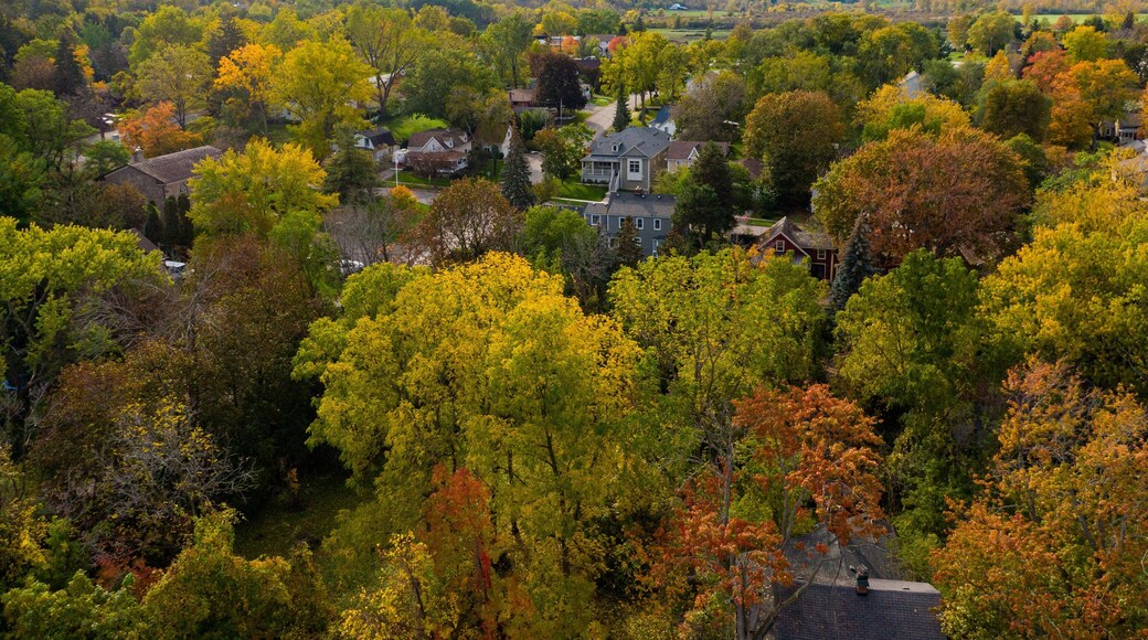 Queenston which includes a small town or village and landscape views