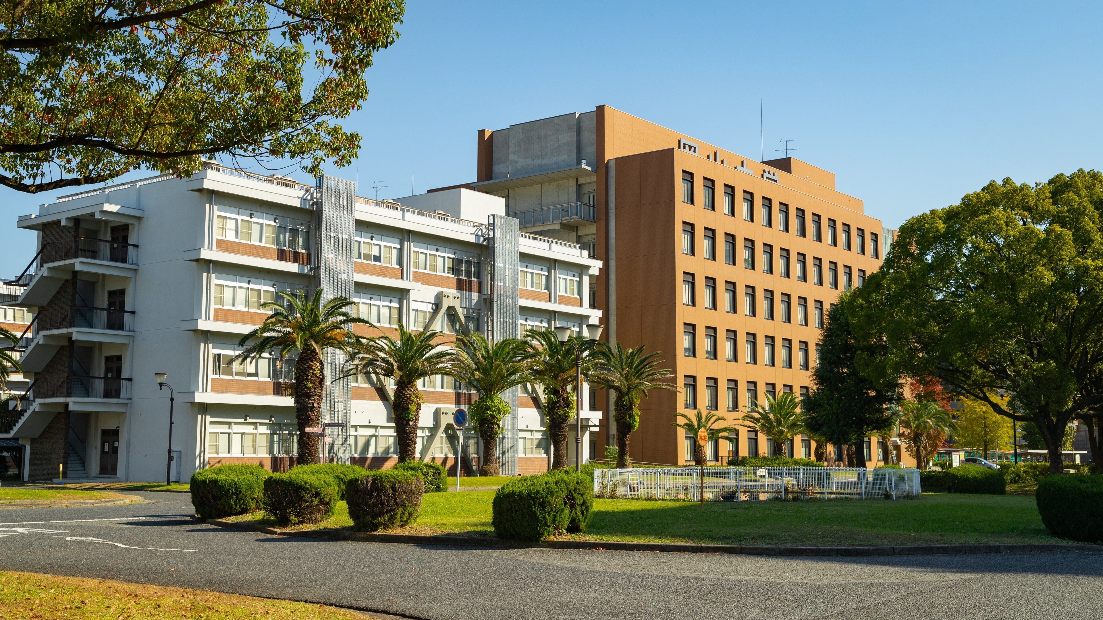 岡山大学