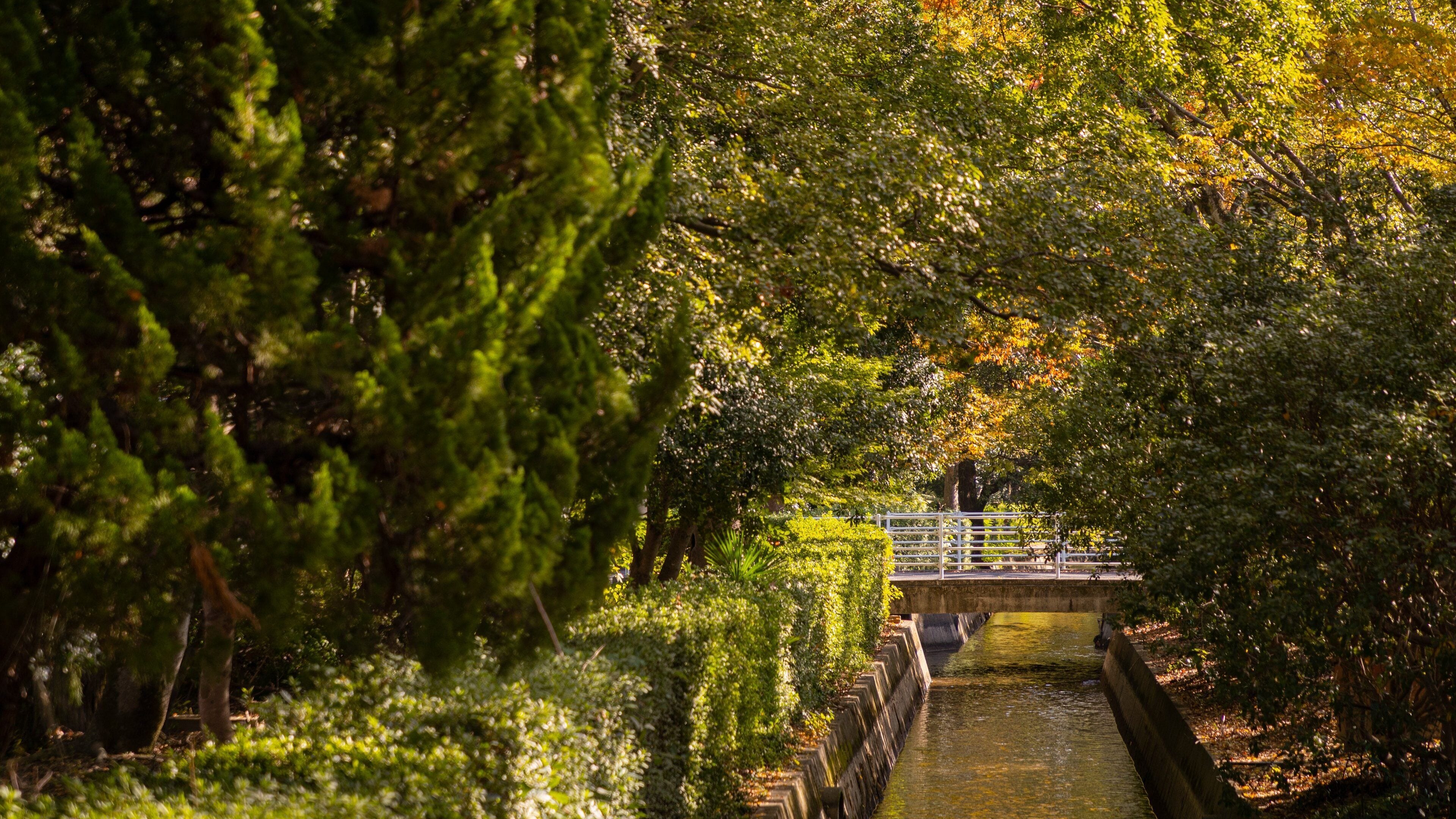 Okayama University which includes a river or creek and a bridge