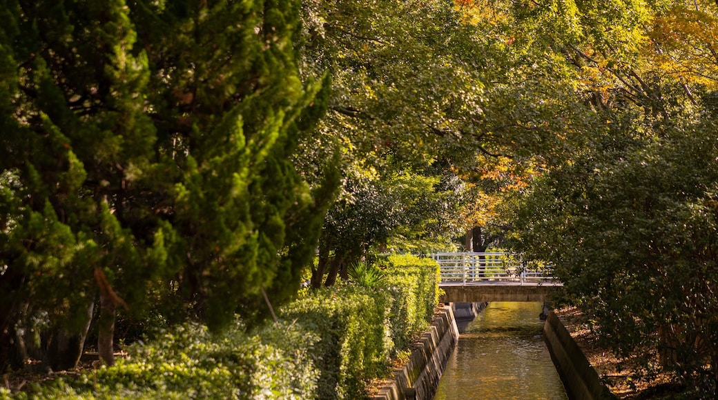 Okayama University which includes a river or creek and a bridge