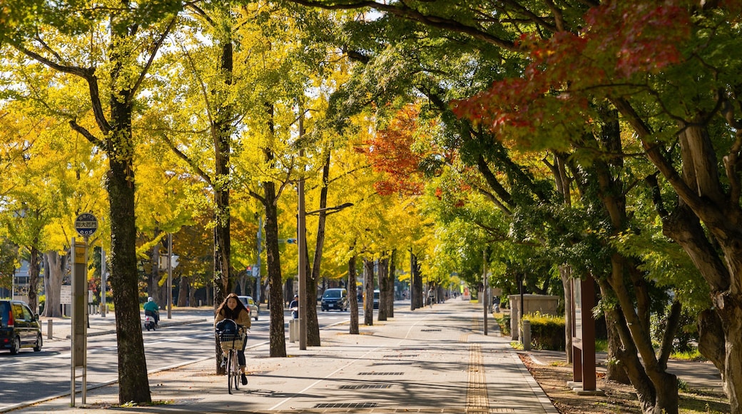 Okayama University featuring street scenes, a garden and cycling
