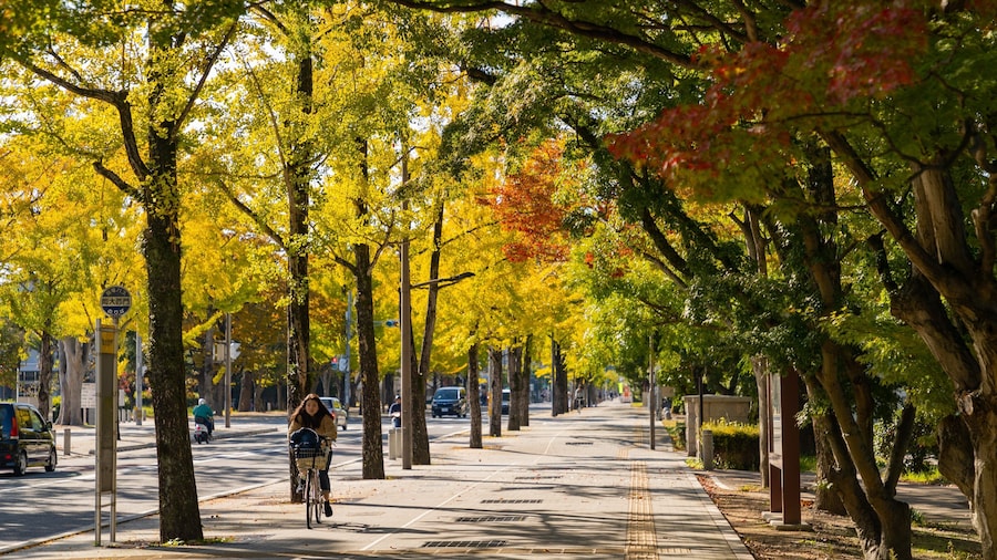 Okayama University featuring street scenes, a garden and cycling