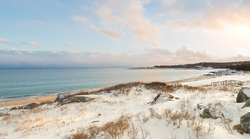 Ocean shore on a winter day